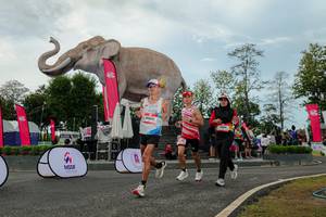 BIB: 
                            <button type="button" onclick="openModal(26528901)" class="btn btn-primary btn-sm float-right btn-popup" data-toggle="modal" data-target=".modal-high-quality">
                        <i class="fas fa-shopping-cart"></i> Add to Cart
                    </button>
                                            <button type="button" onclick="isThisMe(26528901, true)" class="btn btn-success btn-sm float-right btn-popup btn-isme hidden" data-toggle="tooltip" data-placement="bottom" title="นี่คือรูปของคุณใช่ไหม คลิกที่นี่เพื่อเอาเข้าอัลบั้ม">
                        <i class="fas fa-plus"></i> Add to album
                    </button>
                    <button type="button" onclick="isThisMe(26528901, false)" class="btn btn-warning btn-sm float-right btn-popup btn-isnotme hidden">
                        <i class="fas fa-ban"></i> Remove from album
                    </button>